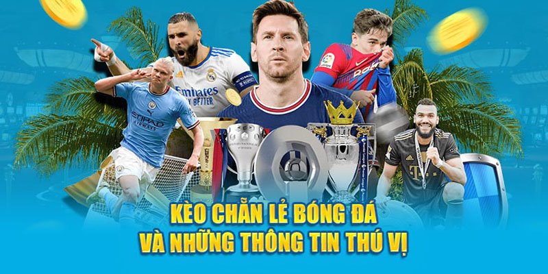 Thông tin về các tỷ lệ E/O thú vị khác